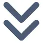 Icon arrows down